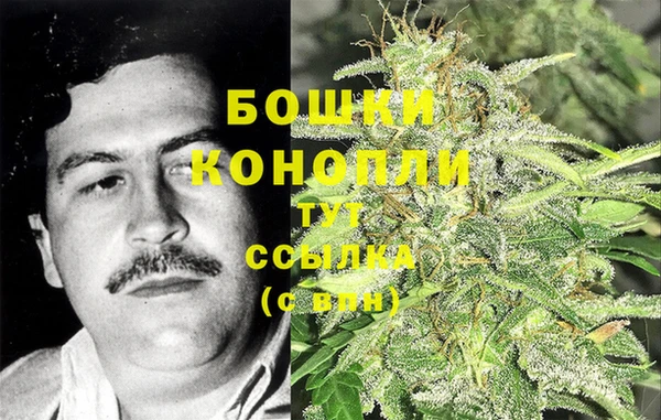 бошки Аркадак