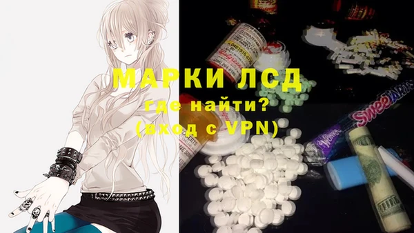 spice Арсеньев