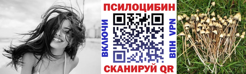 Псилоцибиновые грибы Cubensis  мега онион  Кушва 