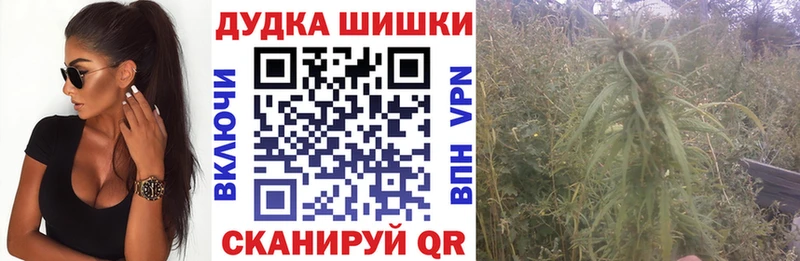 Шишки марихуана VHQ Кушва